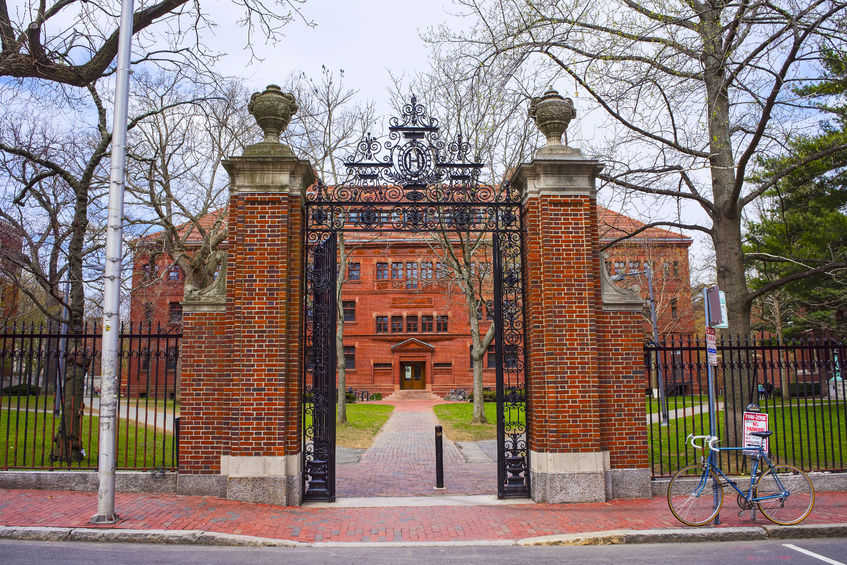 Harvard Medical School Student