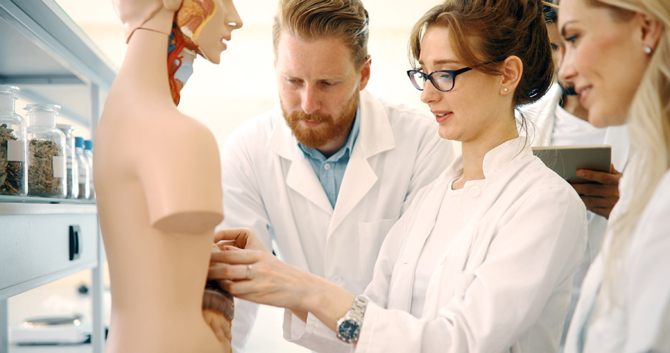 Australia Medical License Exam What Every Med Student Should Know